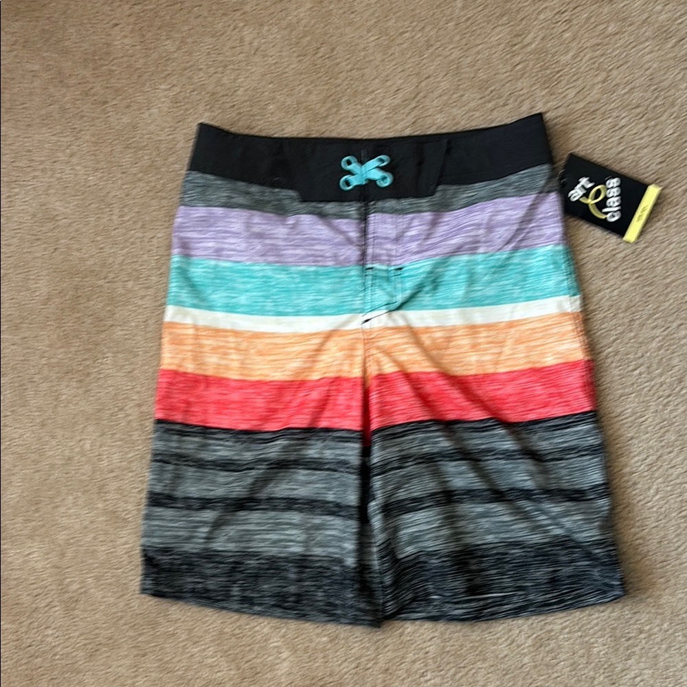art class Multicolor Striped Kids Swim Trunks
